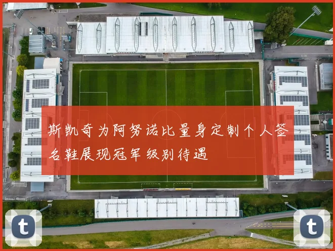 斯凯奇为阿努诺比量身定制个人签名鞋展现冠军级别待遇