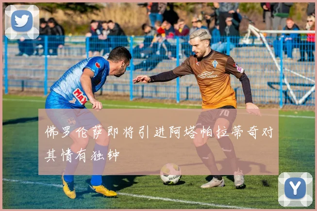 佛罗伦萨即将引进阿塔帕拉蒂奇对其情有独钟